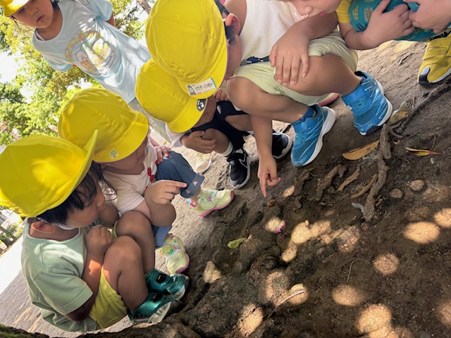 中葛西幼保園　お外遊び