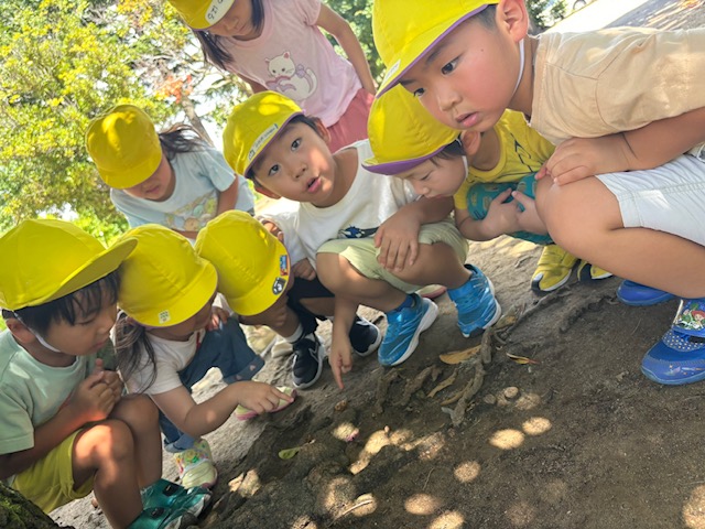 中葛西幼保園　お外遊びの様子